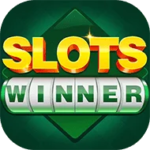 Slots Spin App