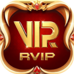 Rvip Apk